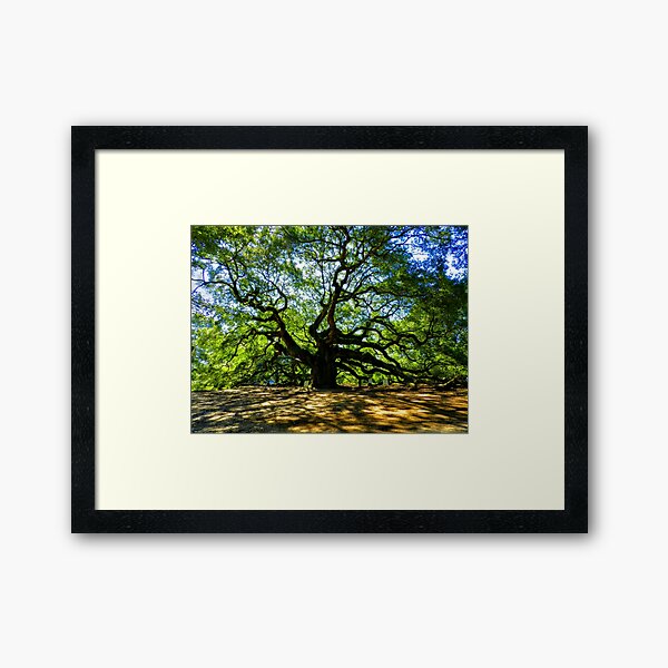 Item preview, Angel Oak 003 designed and sold by Lance Vaughn.
