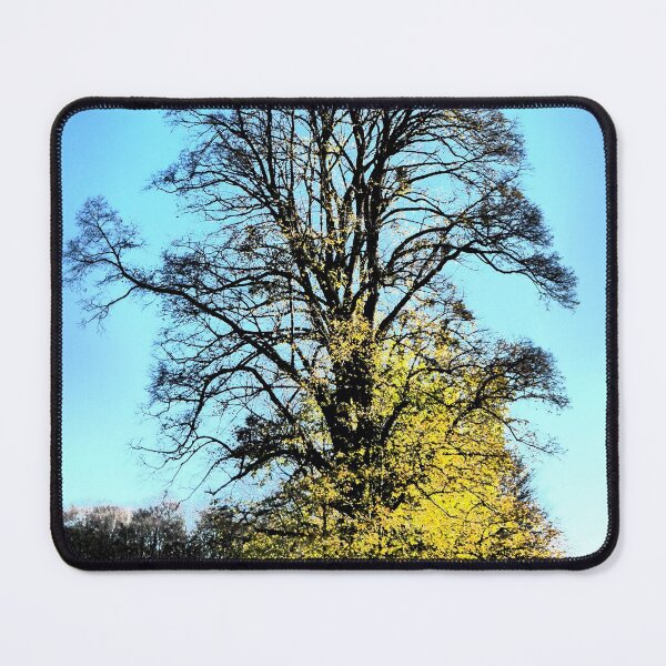 Item preview, The perfect tree designed and sold by angel1.