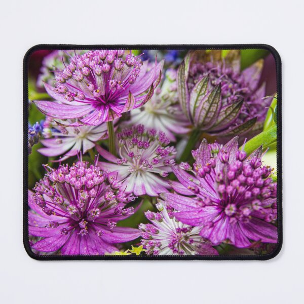 Item preview, Exquisite Magic of Blossoms #2 designed and sold by Lyl Dil Creations.