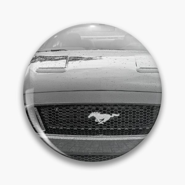 Item preview, 2018 Blue Ford Mustang GT 5 designed and sold by RichFrancoCars.
