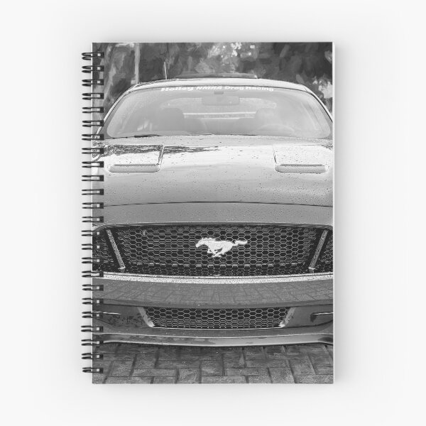 Item preview, 2018 Blue Ford Mustang GT 5 designed and sold by RichFrancoCars.