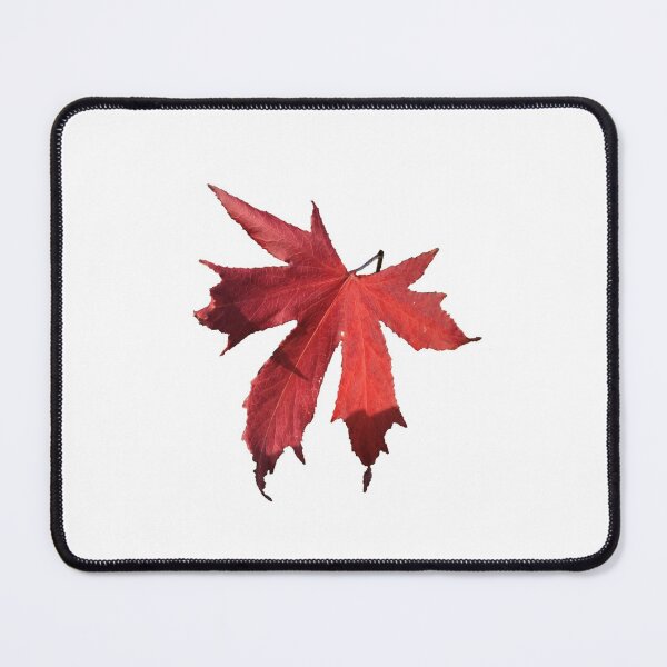 Item preview, Red Acer leaf designed and sold by EliSa-1.