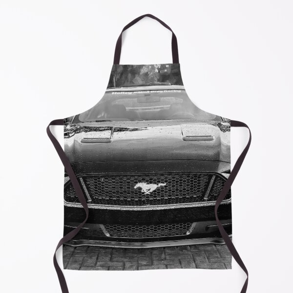 Item preview, 2018 Black Ford Mustang GT 5 designed and sold by RichFrancoCars.