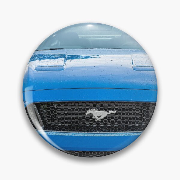 Item preview, 2018 Blue Ford Mustang GT 5 designed and sold by RichFrancoCars.