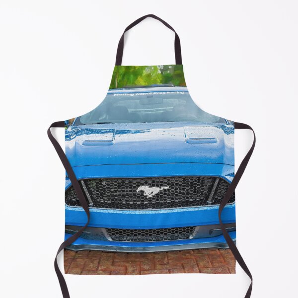 Item preview, 2018 Blue Ford Mustang GT 5 designed and sold by RichFrancoCars.
