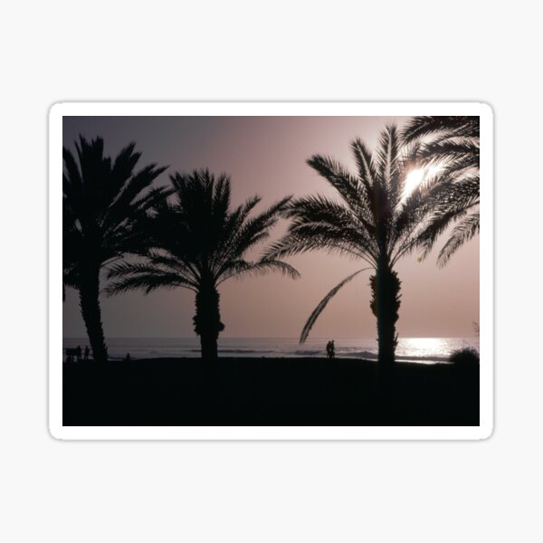 Item preview, Palm trees beach sea sun Tenerife 1985 scanned from 6x6 slide  designed and sold by hullstuff.