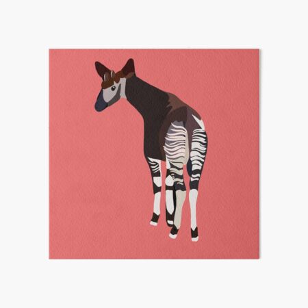 Okapi Minimalist