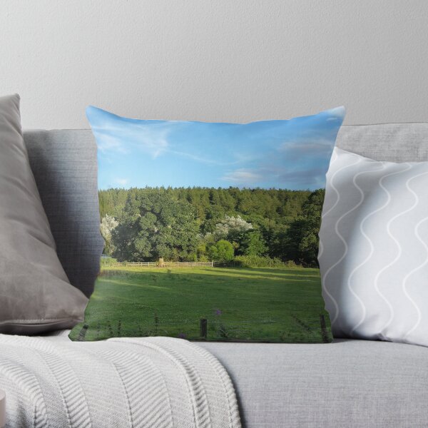 Old Esh Winning Railway Line Throw Pillow
