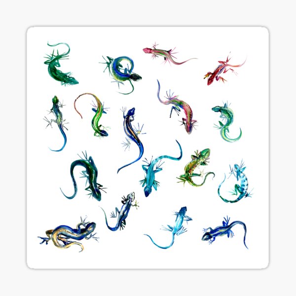 Lizards Sticker