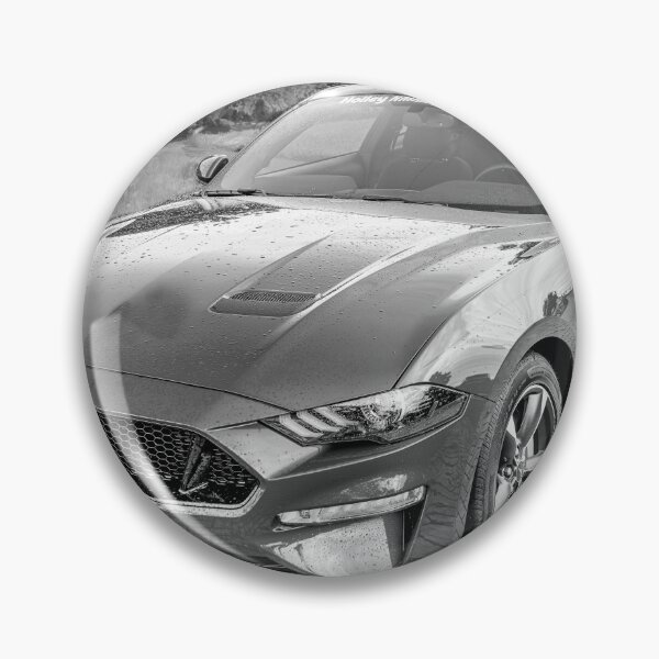 Item preview, 2018 Blue Ford Mustang GT 5 designed and sold by RichFrancoCars.