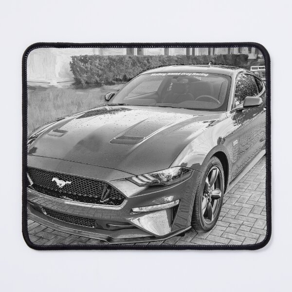 Item preview, 2018 Blue Ford Mustang GT 5 designed and sold by RichFrancoCars.