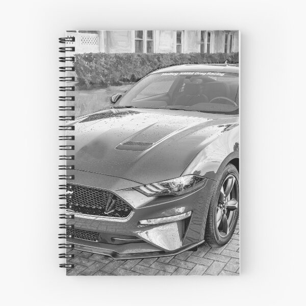Item preview, 2018 Blue Ford Mustang GT 5 designed and sold by RichFrancoCars.