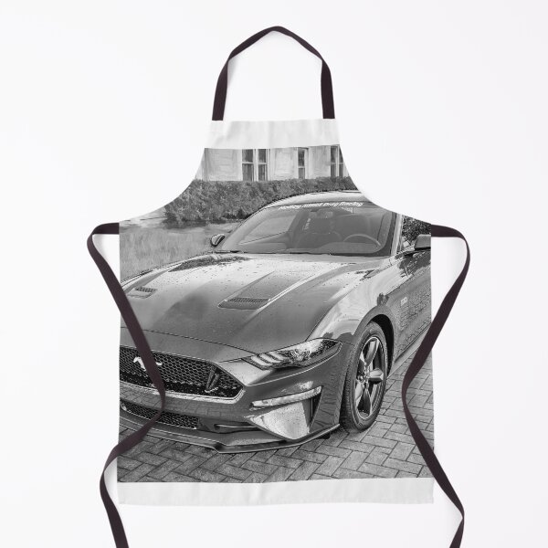 Item preview, 2018 Blue Ford Mustang GT 5 designed and sold by RichFrancoCars.