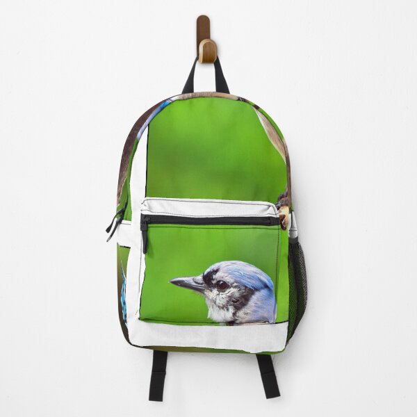 Item preview, Juvenile Bluejay designed and sold by AMacGPhilly.
