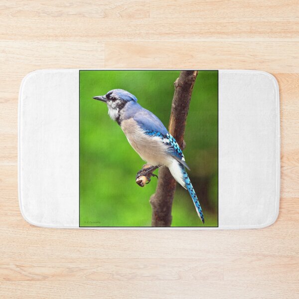 Item preview, Juvenile Bluejay designed and sold by AMacGPhilly.