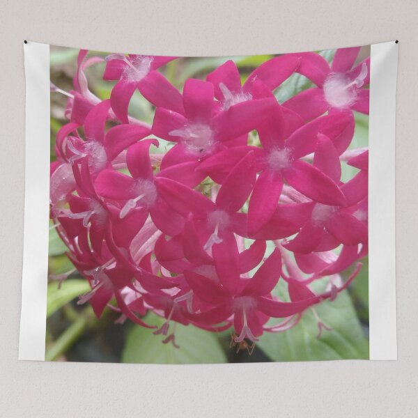 Item preview, Pink flower bunch designed and sold by Paint84.