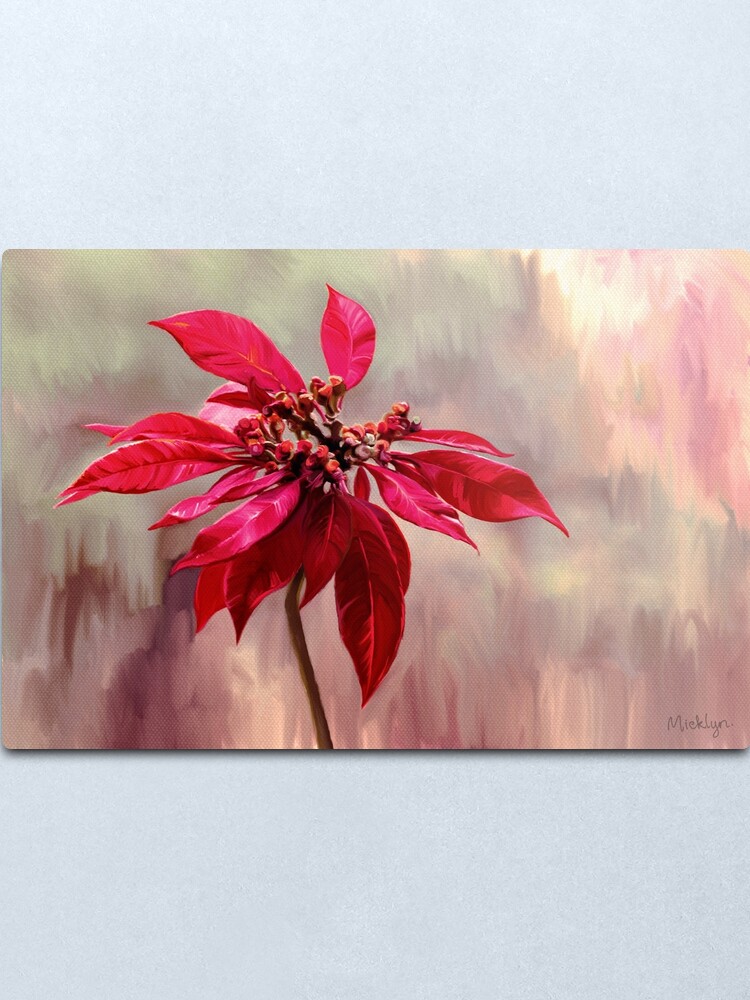 Lámina metálica «Pintura de Nochebuena» de micklyn | Redbubble Lámina metálica «Pintura de Nochebuena» de micklyn | Redbubble