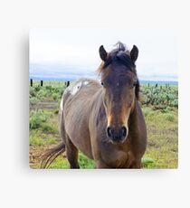 Pixel Canvas Print