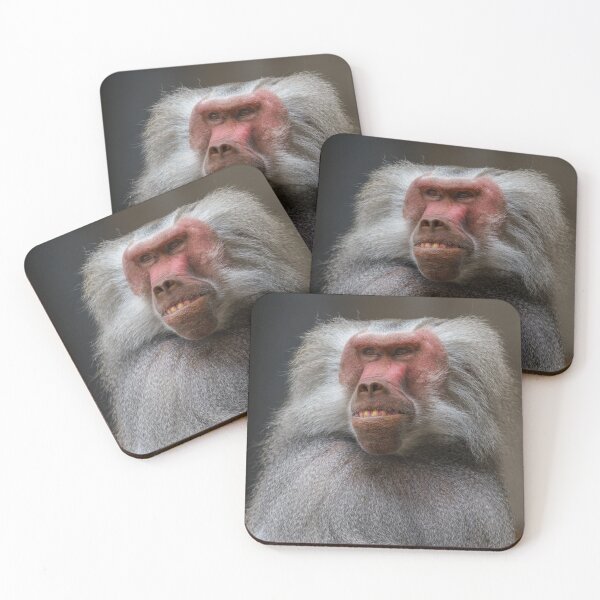 Item preview, Baboon Portrait designed and sold by rawshutterbug.