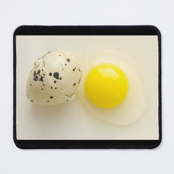 Item preview, Broken quail egg with shell taken closeup on white background. designed and sold by IaroslavB.