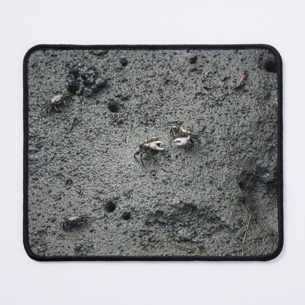 Item preview, Fiddler crab 2 designed and sold by KensLensDesigns.