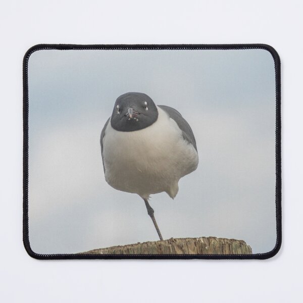 Item preview, Handicap Gull designed and sold by KensLensDesigns.