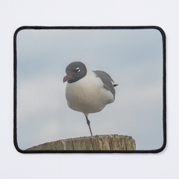 Item preview, One-legged laughing Gull designed and sold by KensLensDesigns.
