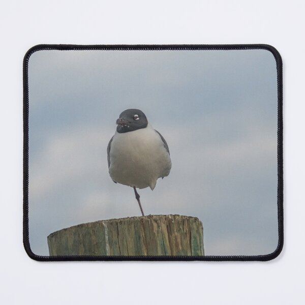 Item preview, one-legged laughing Gull designed and sold by KensLensDesigns.