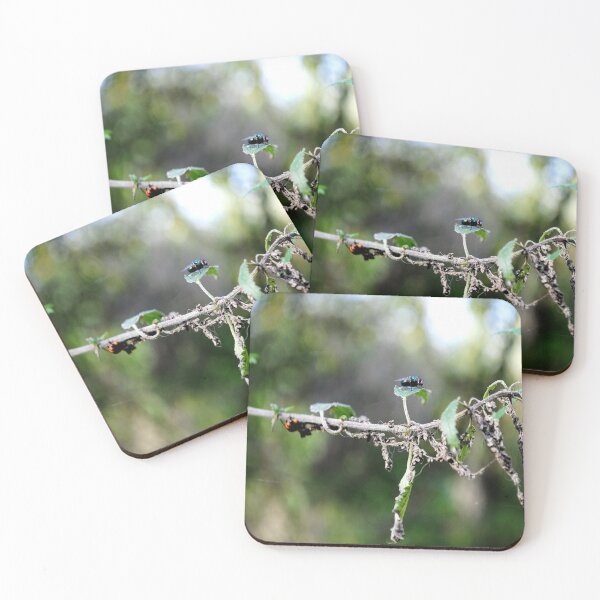 Item preview, A fly that takes rest on a rainy day ... designed and sold by Tableaux51.