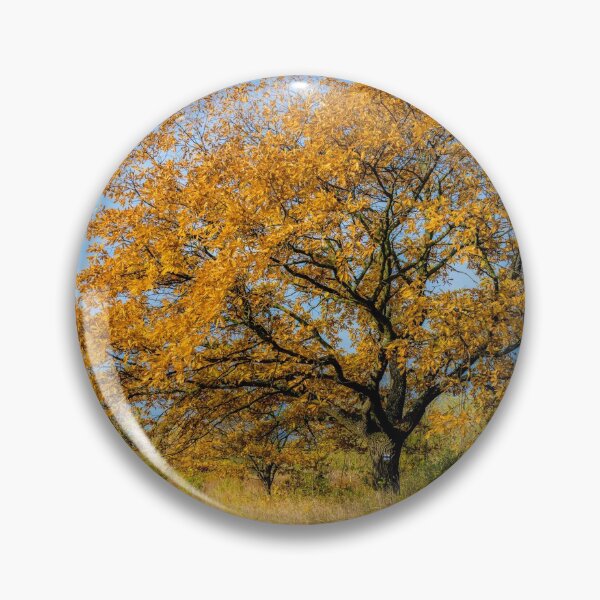 Item preview, Still autumn - autumn still designed and sold by PeterCseke.