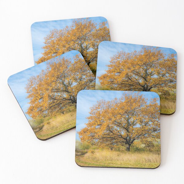 Item preview, Still autumn - autumn still designed and sold by PeterCseke.