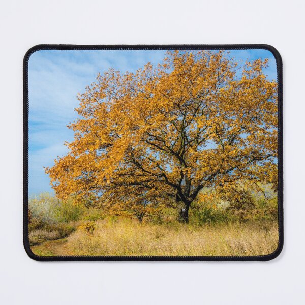 Item preview, Still autumn - autumn still designed and sold by PeterCseke.