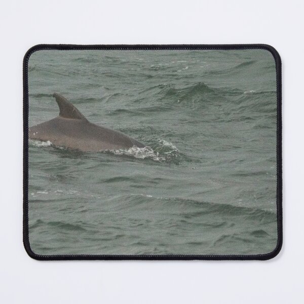 Item preview, Dolphin 2 designed and sold by KensLensDesigns.