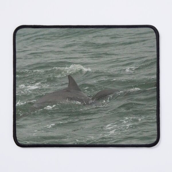 Item preview, Dottlenose dolphin 2 designed and sold by KensLensDesigns.