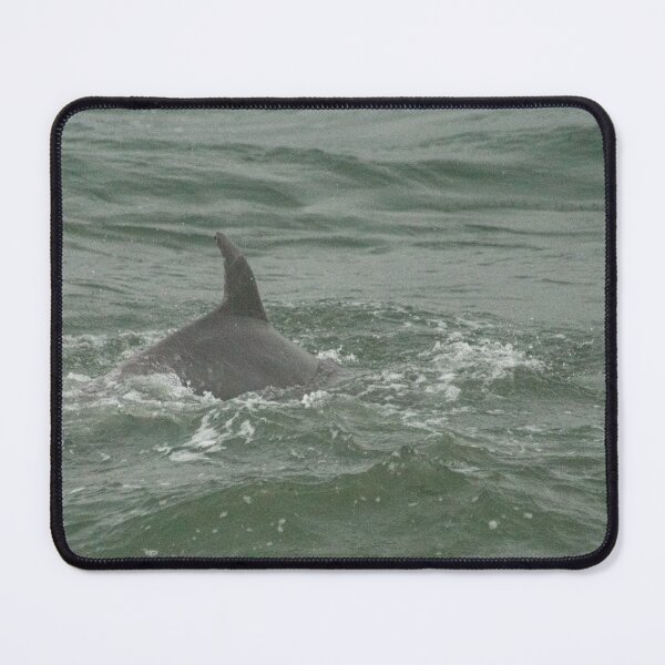 Item preview, Dottlenose dolphin designed and sold by KensLensDesigns.