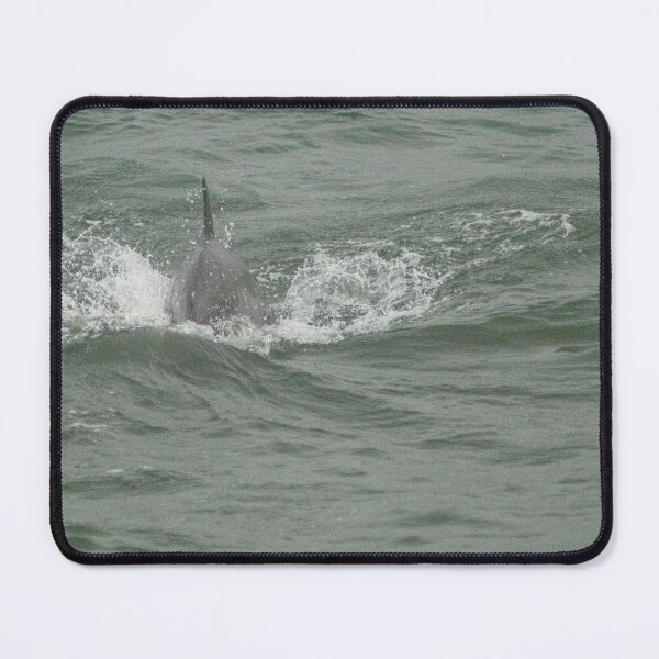 Item preview, Dolphin designed and sold by KensLensDesigns.