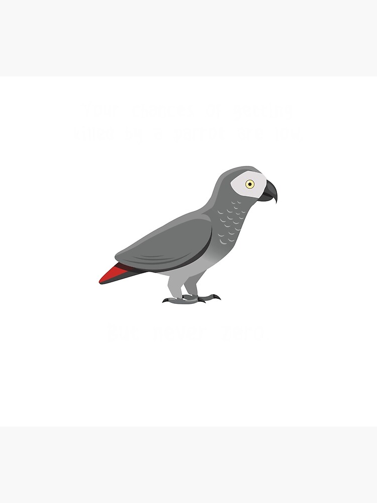 Discover African Grey Parrot Never Zero Socks