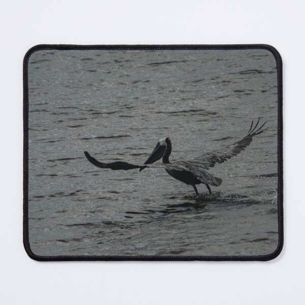 Item preview, I believe I can touch the sky designed and sold by KensLensDesigns.