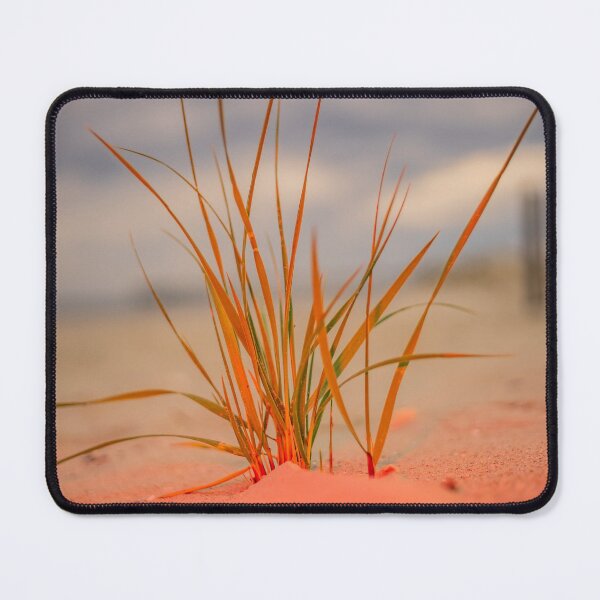 Item preview, Beachgrass and dunes designed and sold by KensLensDesigns.