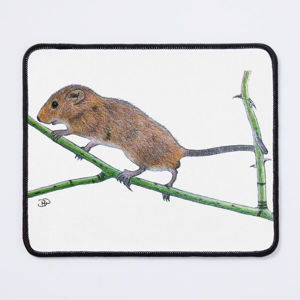 Item preview, Harvest mouse designed and sold by Deborah Parsons.