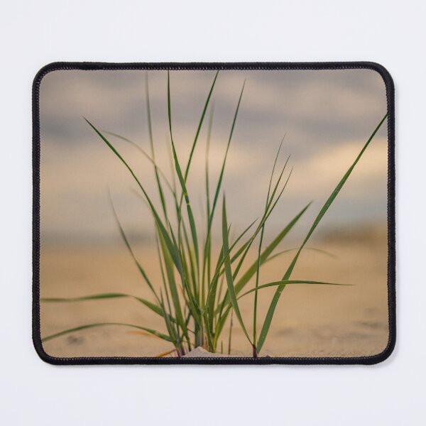 Item preview, Walkway and Beachgrass designed and sold by KensLensDesigns.