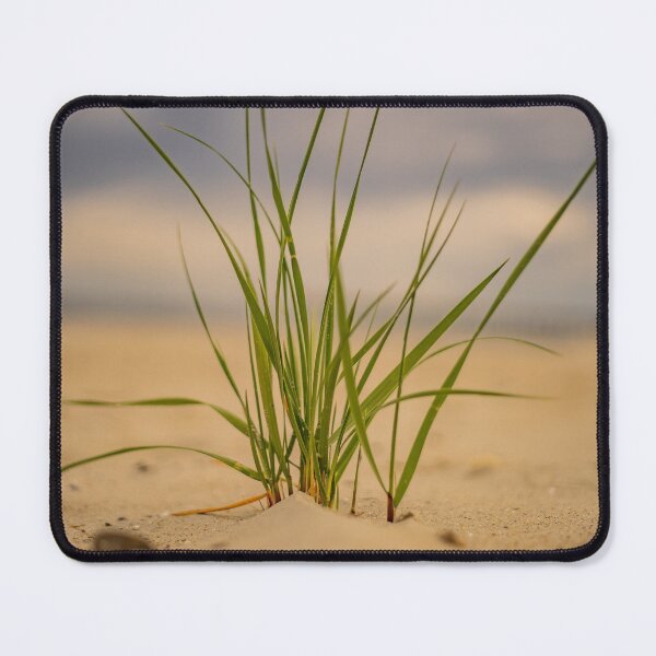 Item preview, dreaming of beach glass designed and sold by KensLensDesigns.