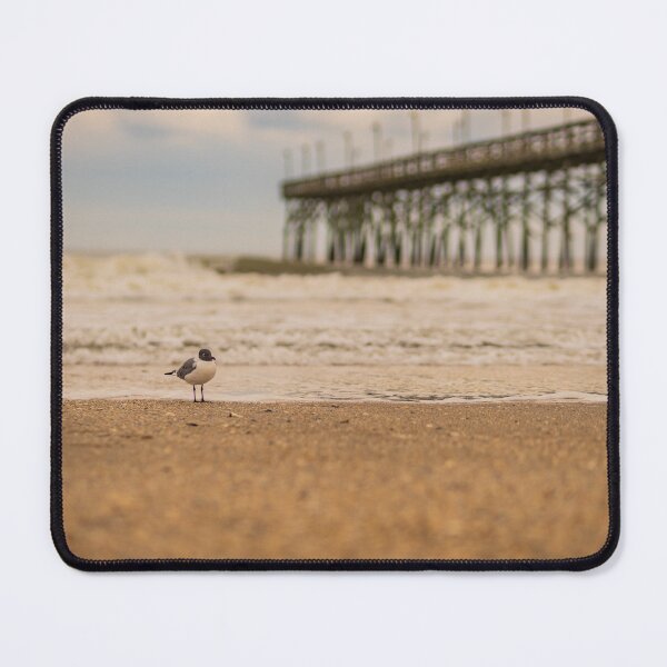 Item preview, Laughing gull in the water designed and sold by KensLensDesigns.
