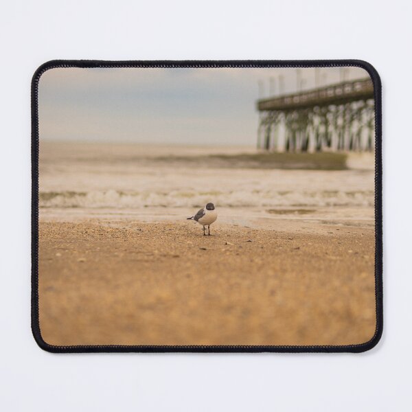 Item preview, Beach and seashells a and Laughing gull designed and sold by KensLensDesigns.