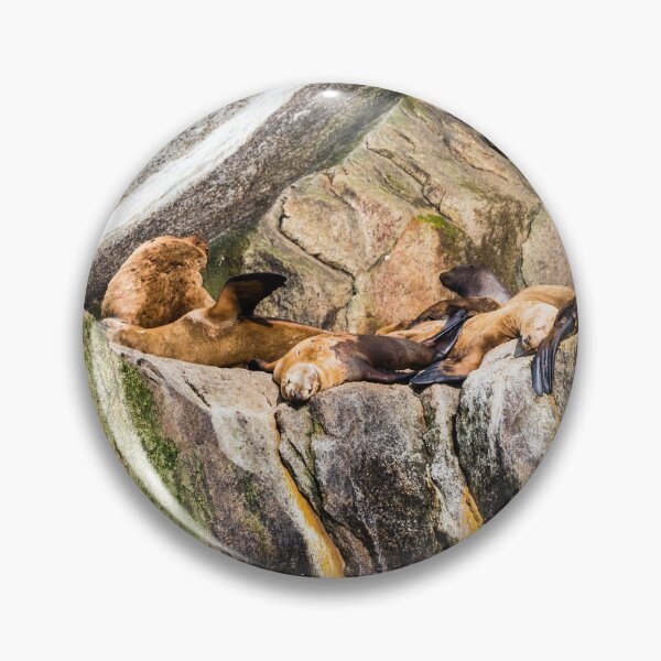 Item preview, Sea Lions laying on the rocks designed and sold by Lyl Dil Creations.