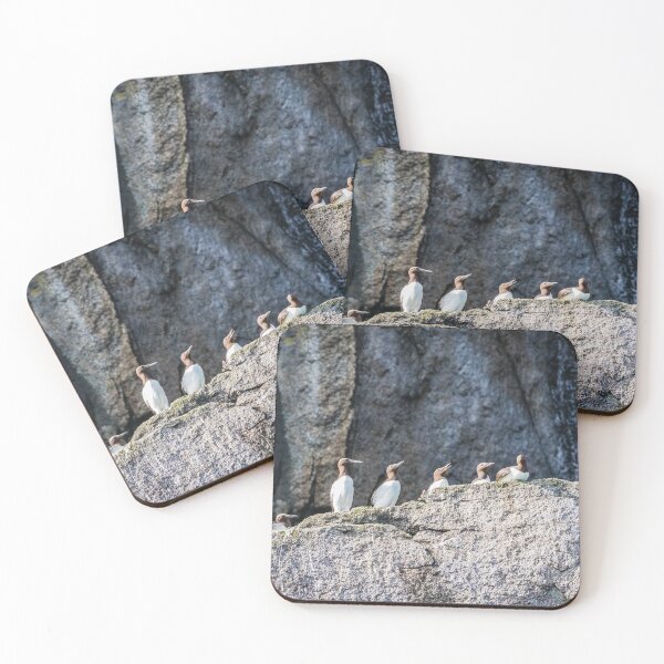 Item preview, Guillemots on the cliff ledges. designed and sold by Lyl Dil Creations.