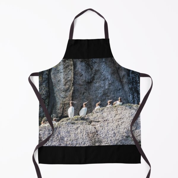 Item preview, Guillemots on the cliff ledges. designed and sold by Lyl Dil Creations.