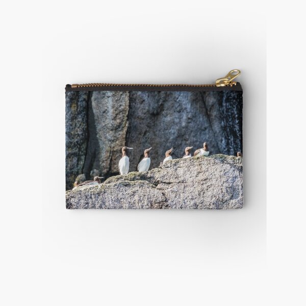 Item preview, Guillemots on the cliff ledges. designed and sold by Lyl Dil Creations.