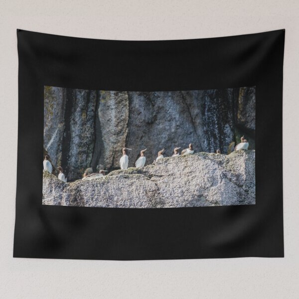 Item preview, Guillemots on the cliff ledges. designed and sold by Lyl Dil Creations.