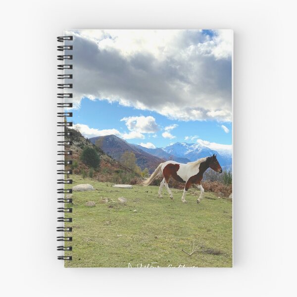 Item preview, free horse designed and sold by AHELENE.